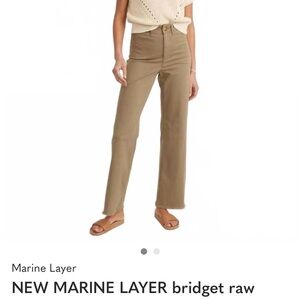 Marine Layer Straight-Leg Pants in Olive